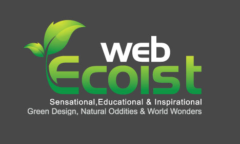 webecoist logo