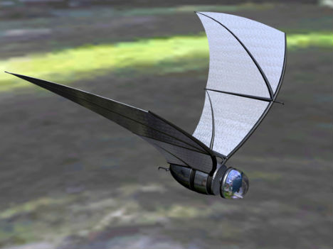 animal-biomimicry-bat-spy-plane