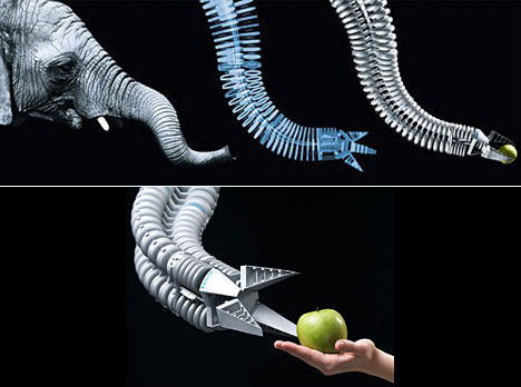 animal-biomimicry-elephant-trunk-robot-arm