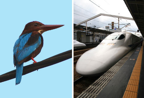 animal-biomimicry-kingfisher-bullet-train