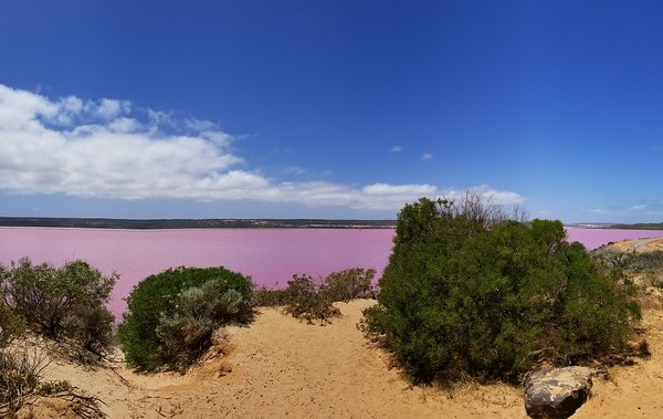 Just Peachy: Australia’s Pretty Pink Hutt Lagoon