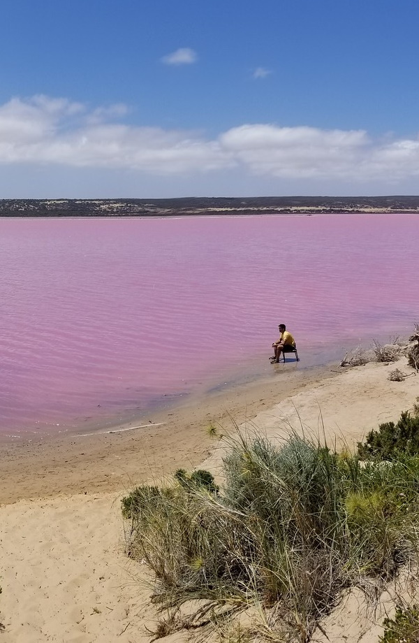 Just Peachy: Australia’s Pretty Pink Hutt Lagoon