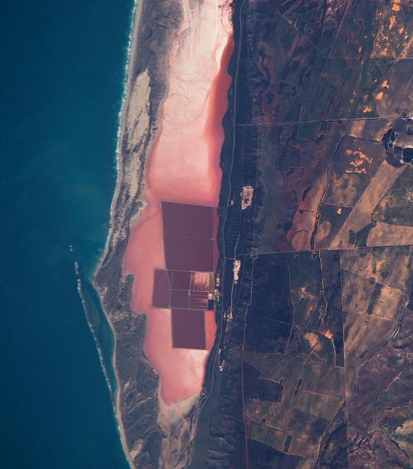 Just Peachy: Australia’s Pretty Pink Hutt Lagoon