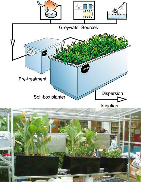 Off Grid Greywater System