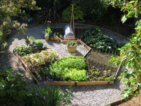 Raised Garden Beds Rotational