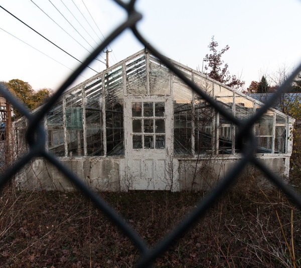 Supplanted: 8 Overgrown & Abandoned Greenhouses