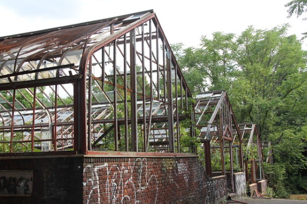 Supplanted: 8 Overgrown & Abandoned Greenhouses