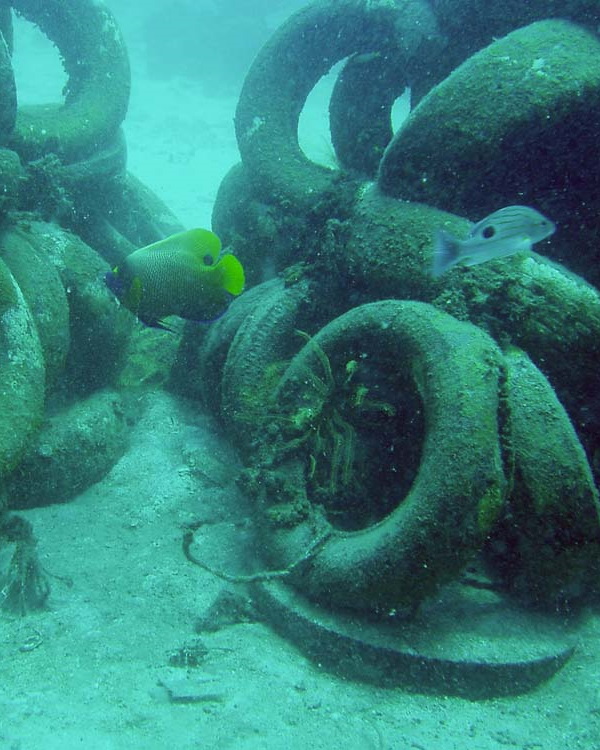In Sink: The World’s 7 Most Amazing Artificial Reefs