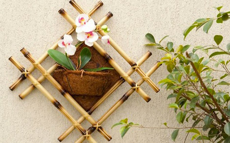 DIY Bamboo Hanging Planter