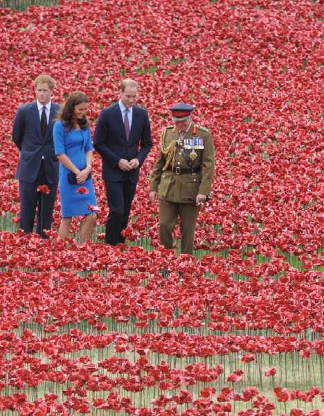 War Flowers: A Red Sea Of Ceramic Poppies