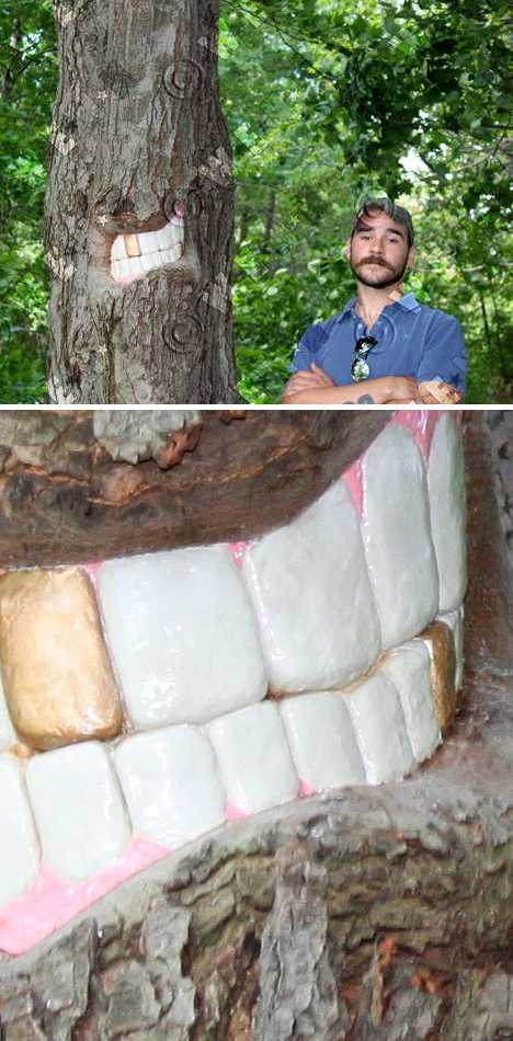 Bark With Bite: The Toothy Tree Art Of Patrick Catalde