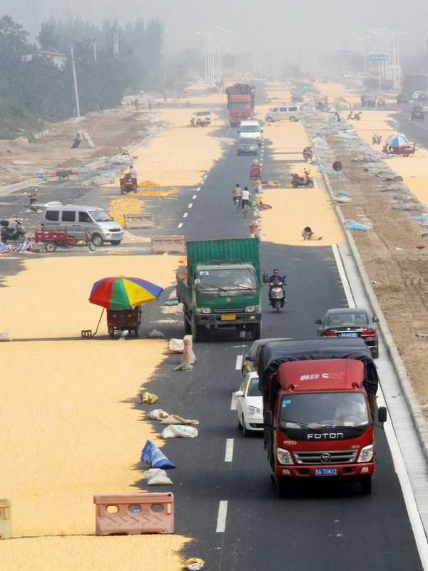 China’s Corn Farmers Impound The Pavement