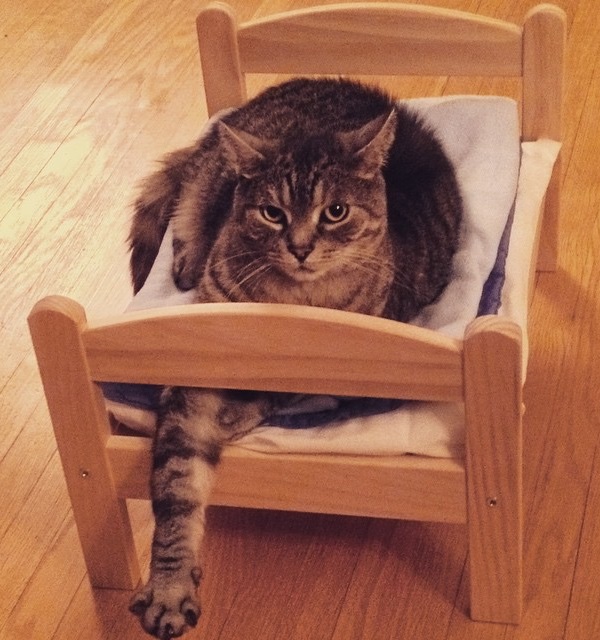 Duktig Ikea Cat Bed 3 ?resize=281