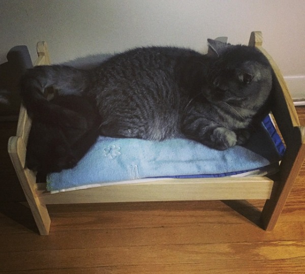 IKEA Doll Beds Are Going To The Dogs & Cats