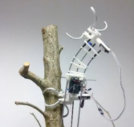 biomimicry inchworm robot 2