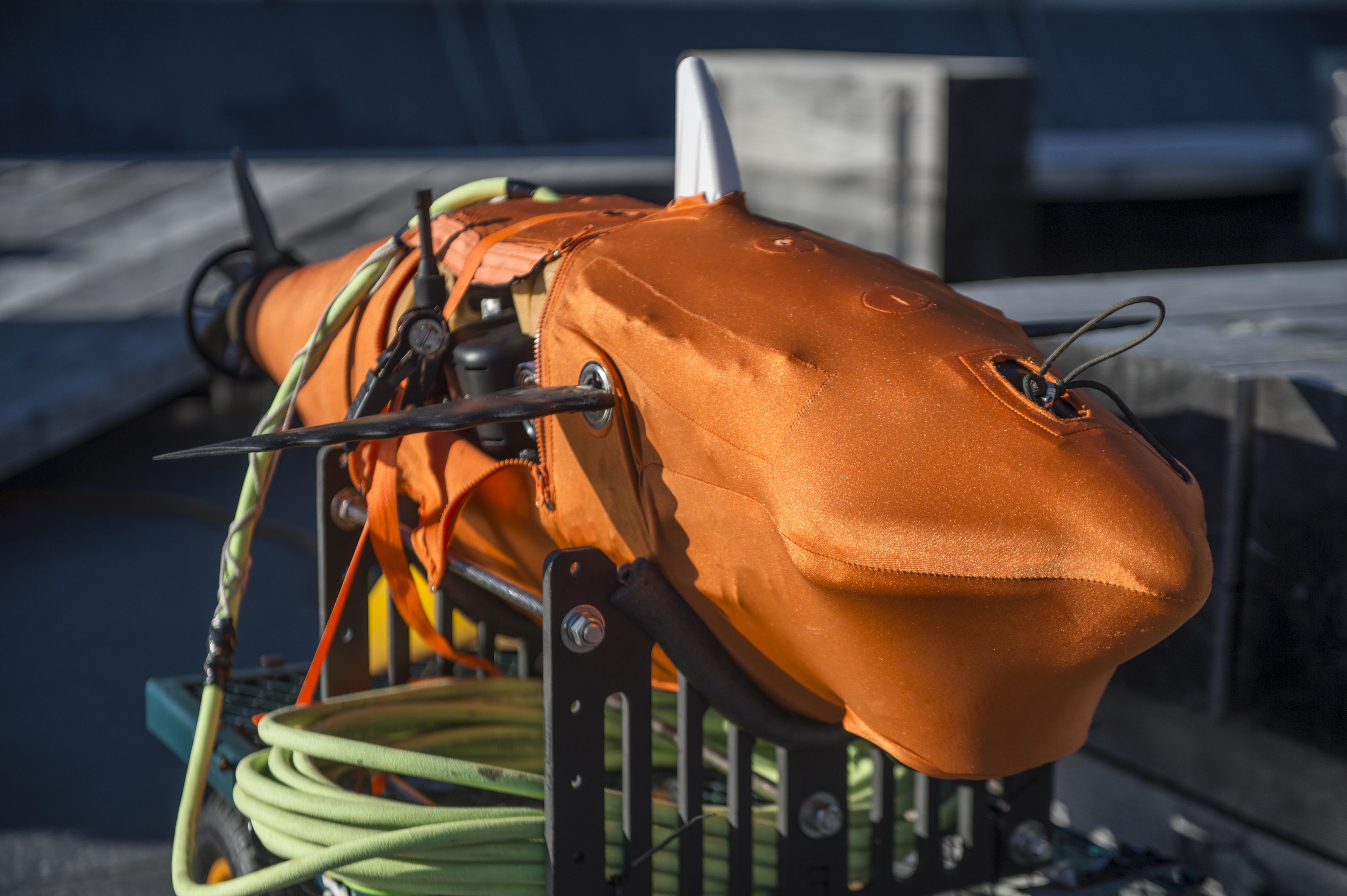 The Navy's New Drone Looks and Swims Like a Shark!