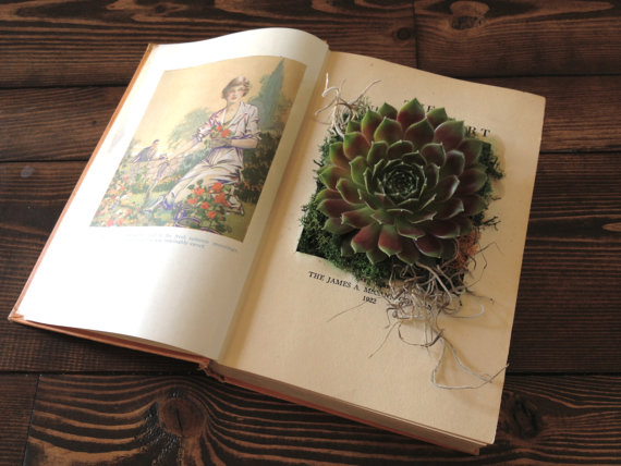 modern planters book 1