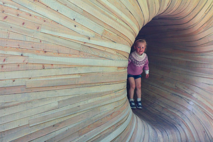 wood tunnel house 2