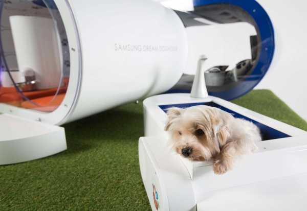 Samsung Dream Doghouse 2