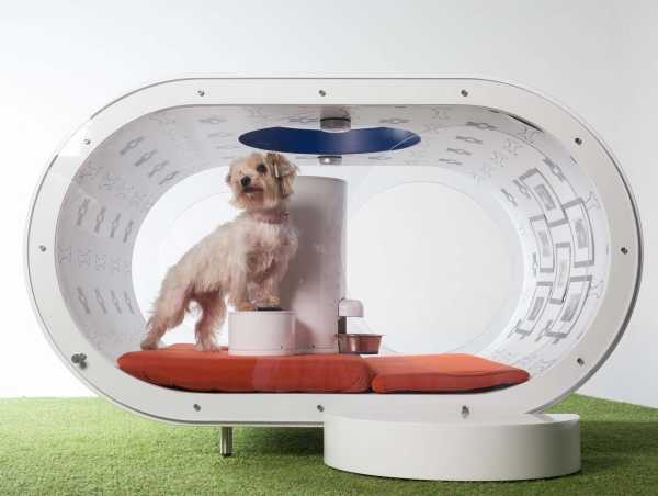 Samsung Dream Doghouse 6