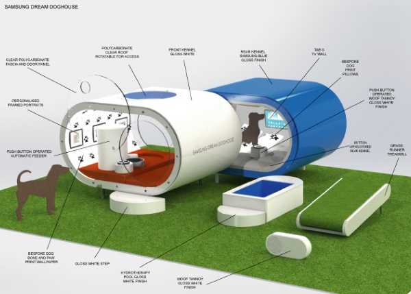 Samsung Dream Doghouse 7