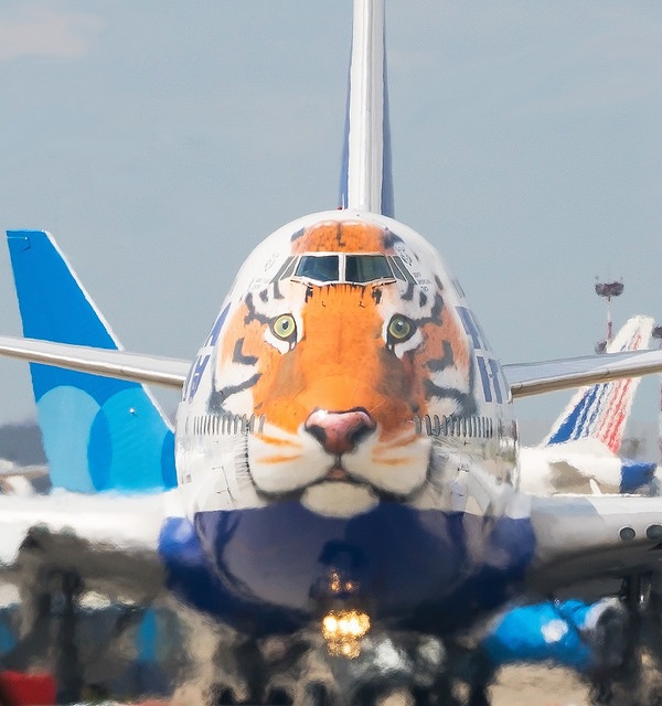 Tiger Face Jet Supports Endangered Big Cats