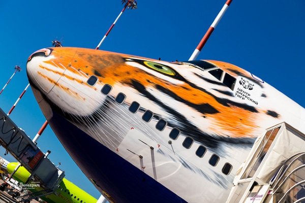 Tiger Face Jet Supports Endangered Big Cats