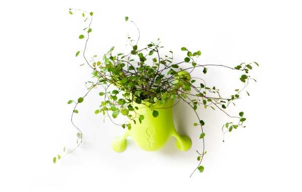 suction-cup-planters-2