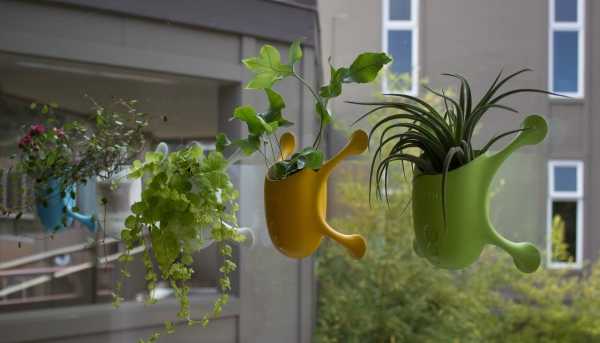 suction-cup-planters-3