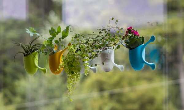 suction-cup-planters-5
