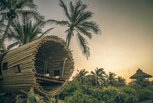 Treehouse Rules Treehouse Rules: Playa Viva's Sustainable Suite - Page 2 of 3 - WebEcoist