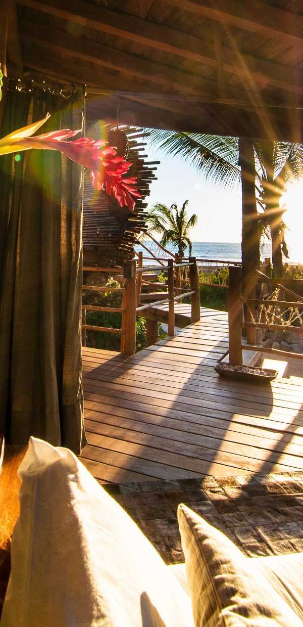 Treehouse Rules Treehouse Rules: Playa Viva's Sustainable Suite - WebEcoist