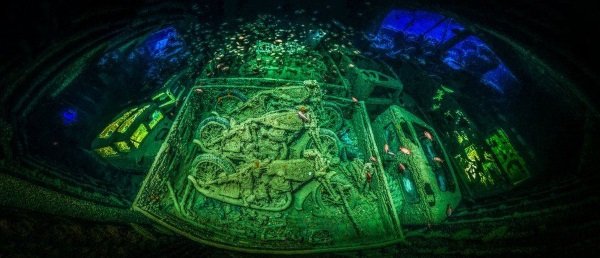 Sea It: 2018 Underwater Photographer Of The Year