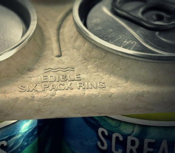Cans Do: Wildlife Enjoy Edible Six-Pack Rings