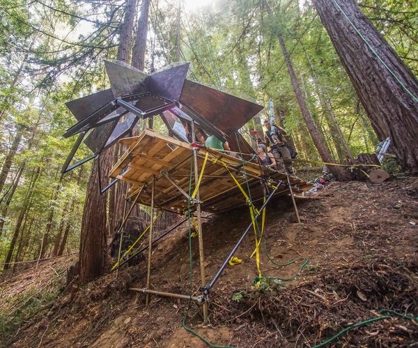 Hangout: Pinecone Treehouse Rests Among Redwoods