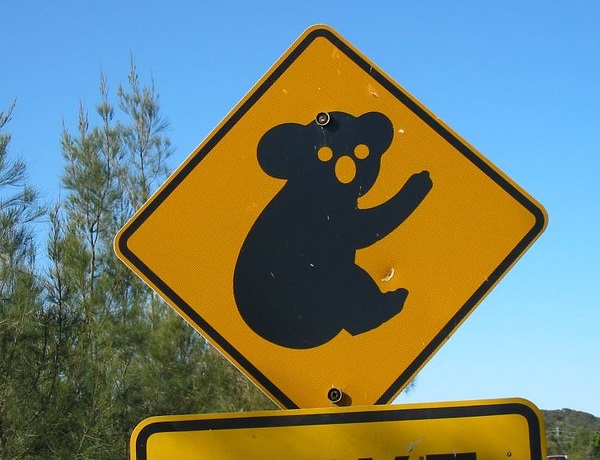Koalified: 7 Amazing Australian Animal Crossing Signs