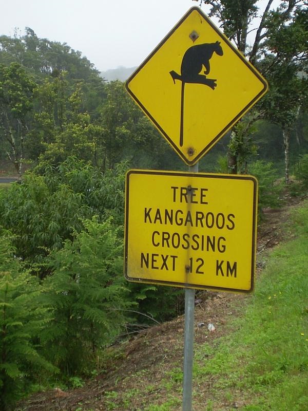 Koalified: 7 Amazing Australian Animal Crossing Signs