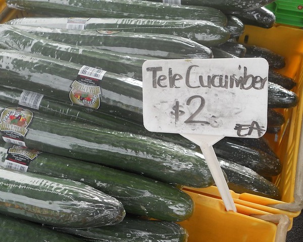 Cumber Some: 7 Curious & Cool Cucumber Cultivars