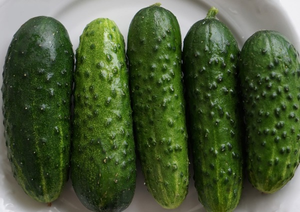 Cumber Some: 7 Curious & Cool Cucumber Cultivars