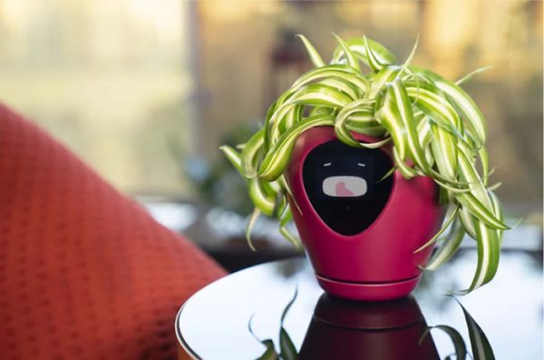 Face Plant: Lüa Smart Planter Is Your Botanical Buddy