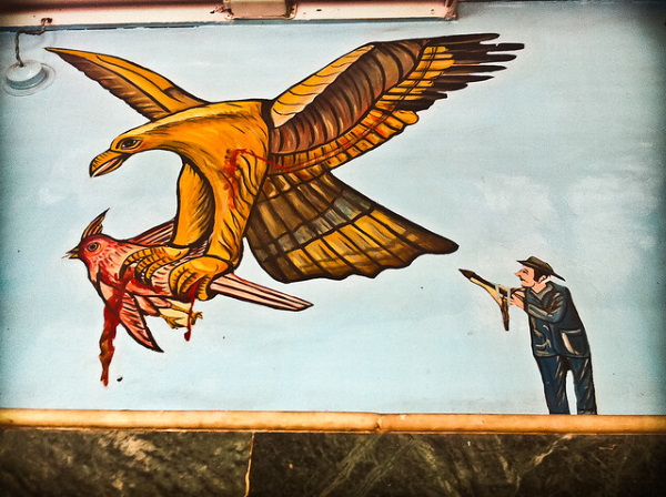 Art Of The Heal: Macabre Murals Of The Jain Bird Hospital
