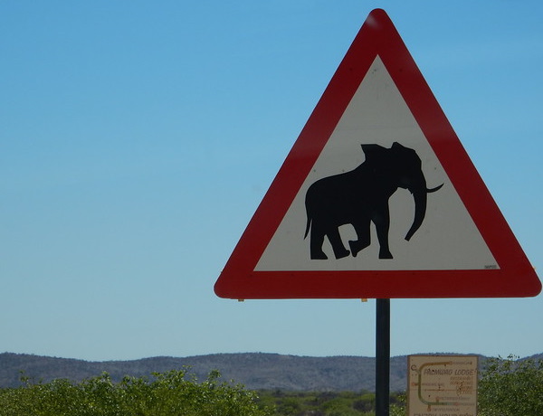 Eclectic Avenue: 10 Weird Animal Crossing Signs