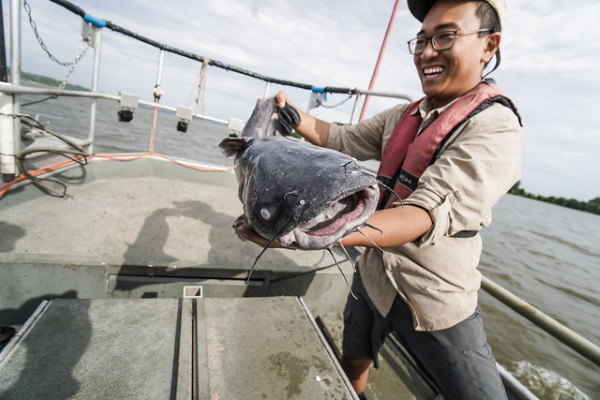 Taste Invaders: Blue Catfish Make Menus Greener