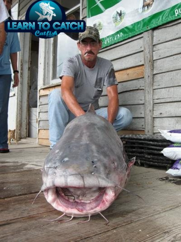 Taste Invaders: Blue Catfish Make Menus Greener