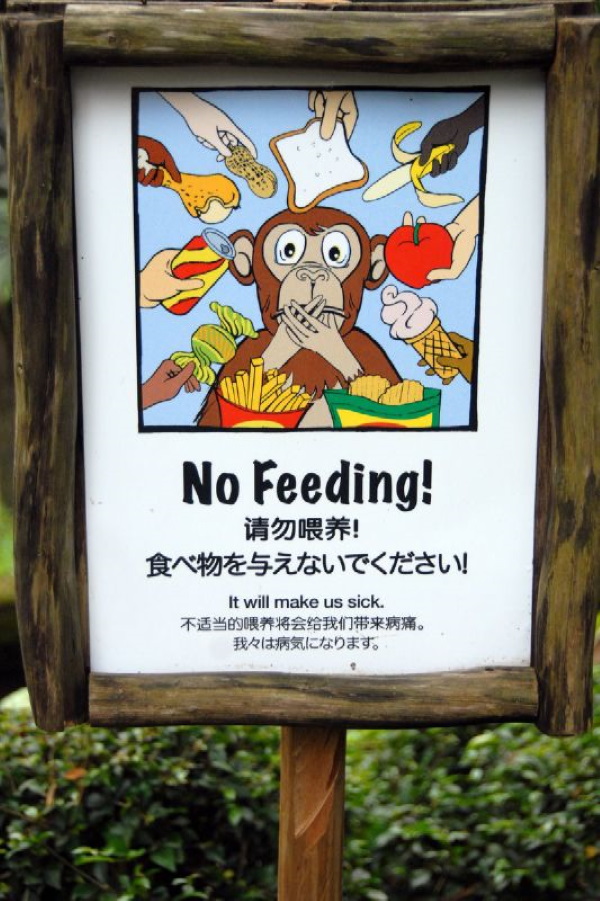 Crunch Time: 10 ‘Do Not Feed The Animals’ Zoo Signs