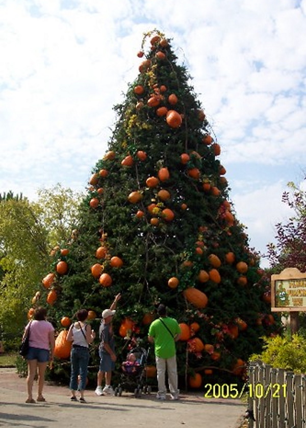 Orange Shade: 10 Totally Top-Heavy Pumpkin Trees