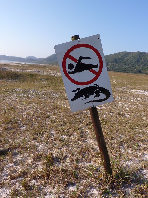 Don’t Tread In Me: 10 Nifty ‘No Swimming’ Signs
