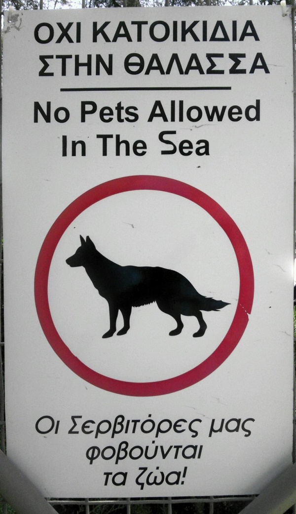 Fur Bidden: 10 Notable ‘No Animals’ Allowed Signs
