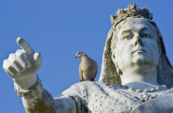 https://webecoist.momtastic.com/wp-content/uploads/sites/16/2022/06/pigeon_statues_1a.jpg