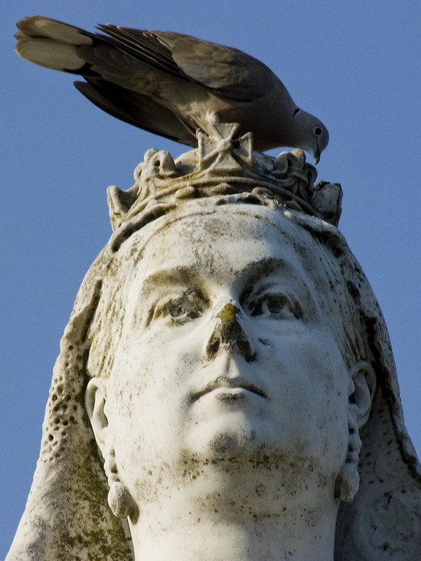 Bird Brained: 7 Amazing Statues Conquered By Pigeons